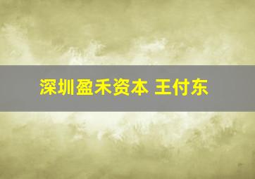 深圳盈禾资本 王付东